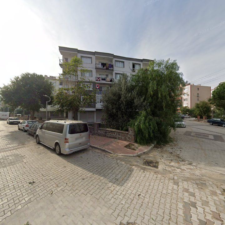 Fotoğraf 11