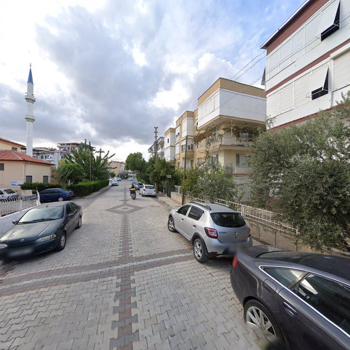 Fotoğraf 3
