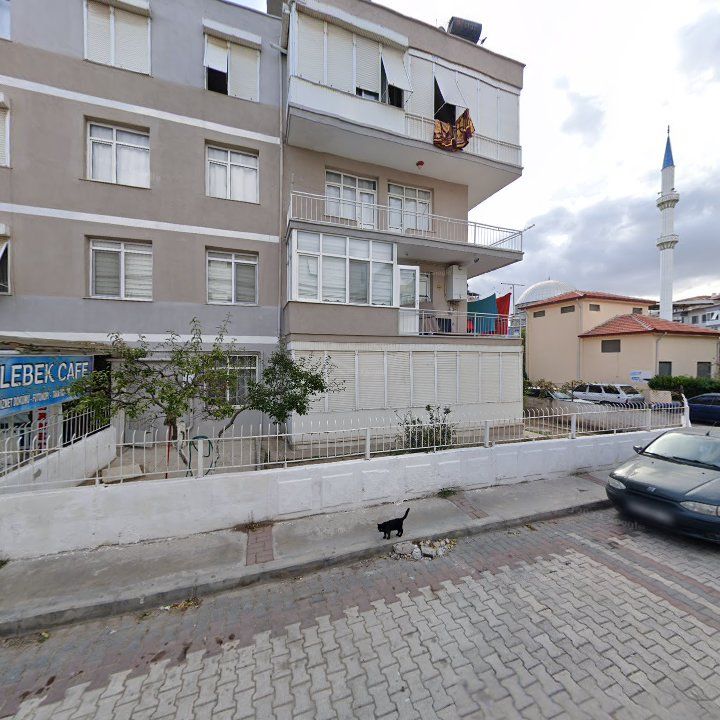 Fotoğraf 6