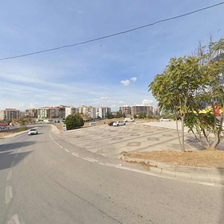 Fotoğraf 9