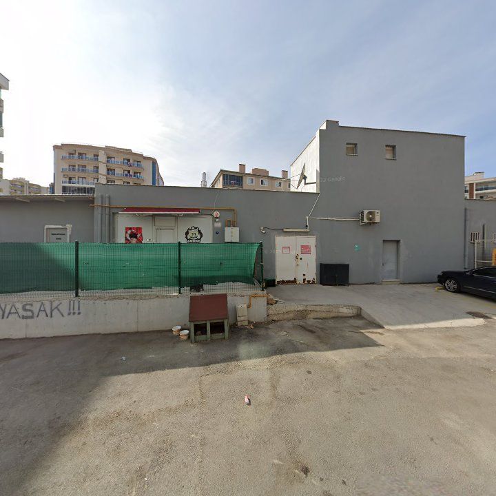 Fotoğraf 10