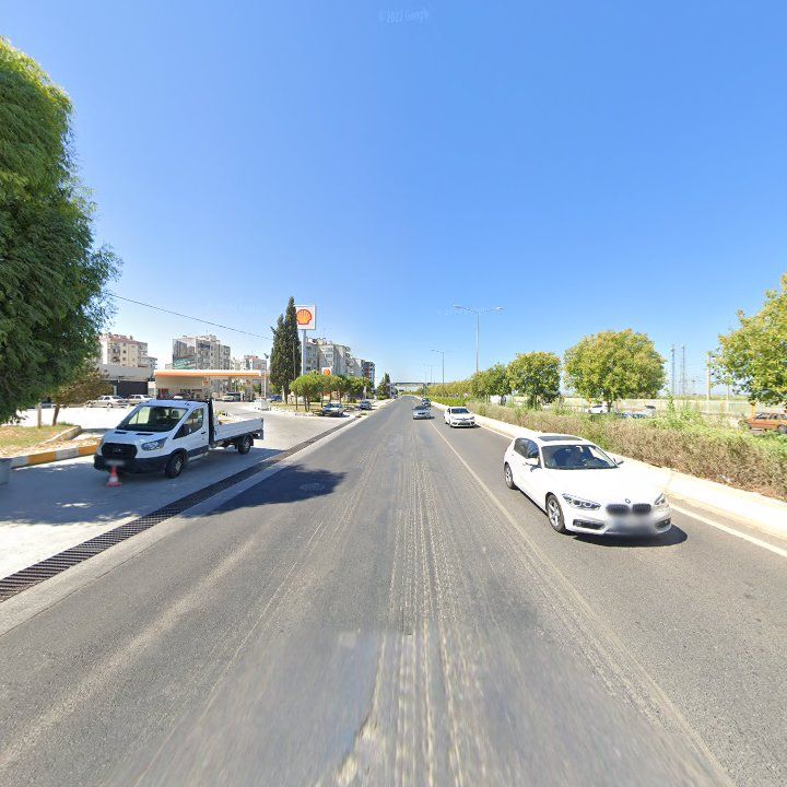 Fotoğraf 7