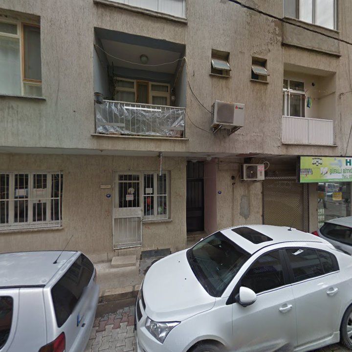 Fotoğraf 8