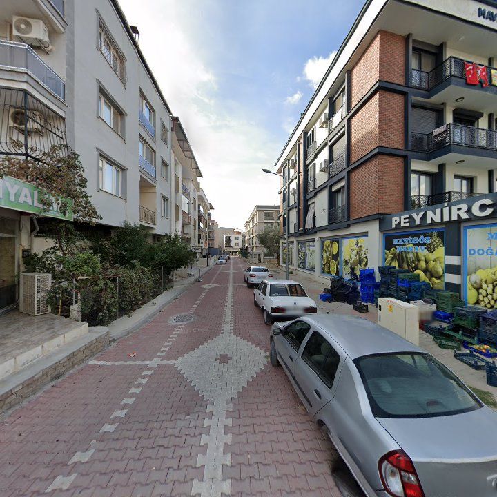 Fotoğraf 7