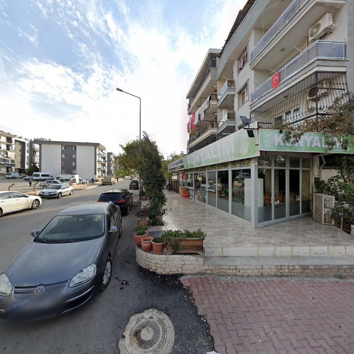 Fotoğraf 6