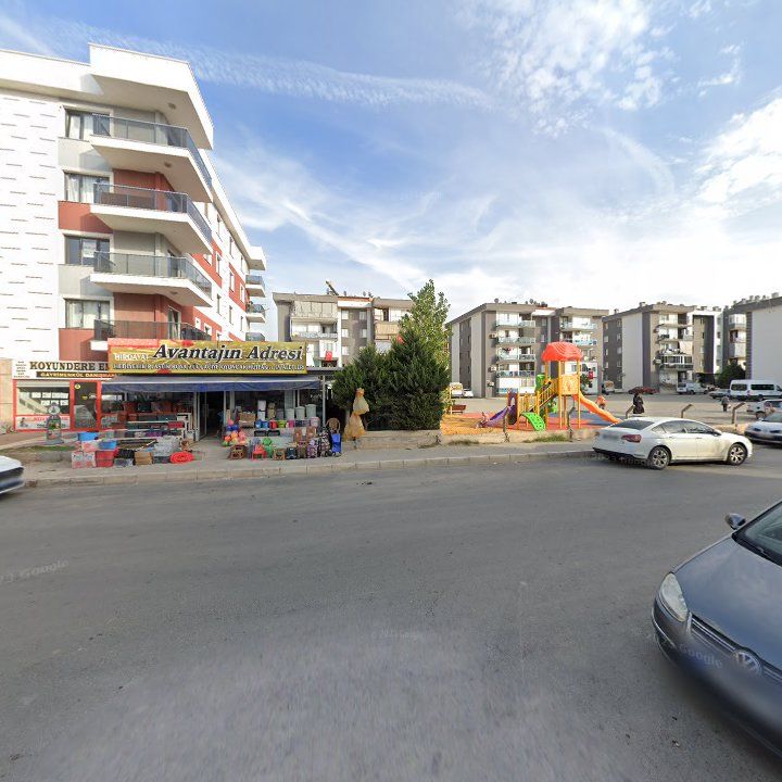 Fotoğraf 9