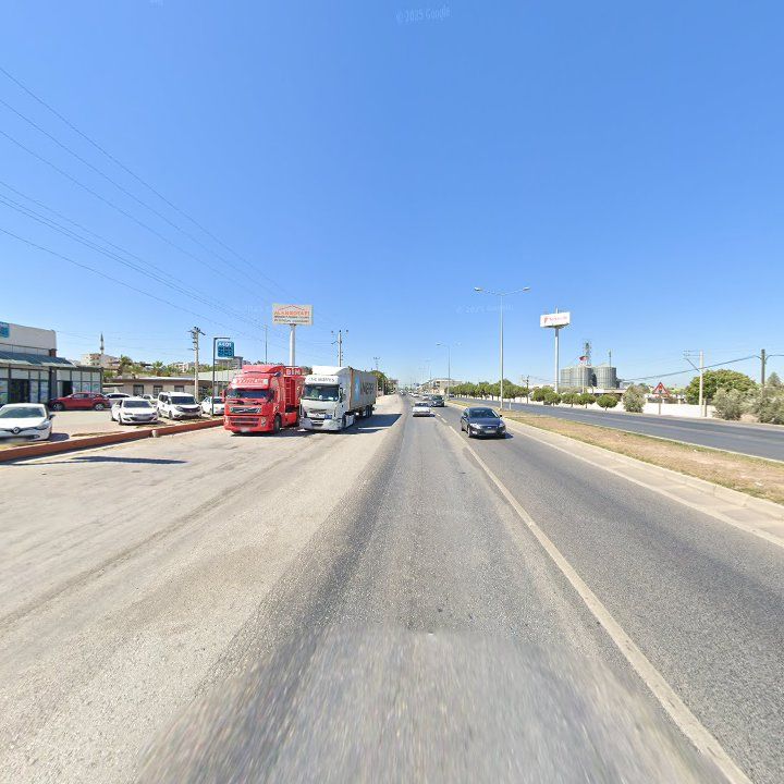 Fotoğraf 6