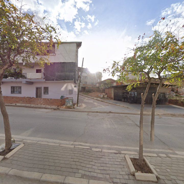 Fotoğraf 8