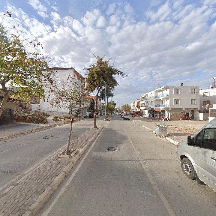 Fotoğraf 9