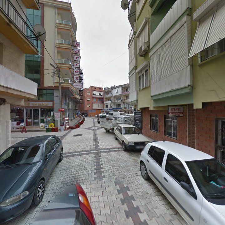 Fotoğraf 8