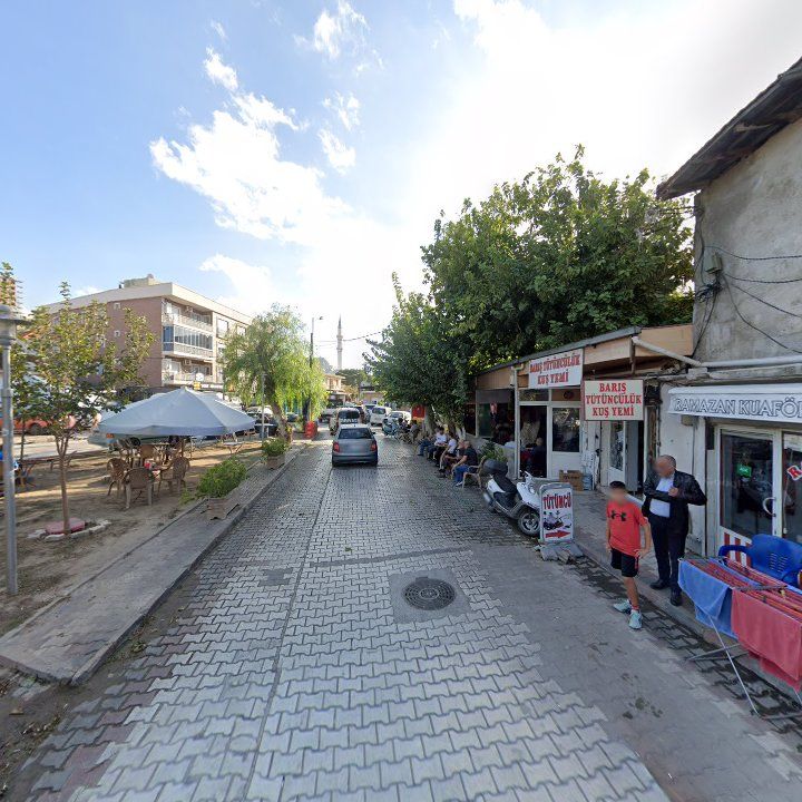 Fotoğraf 10