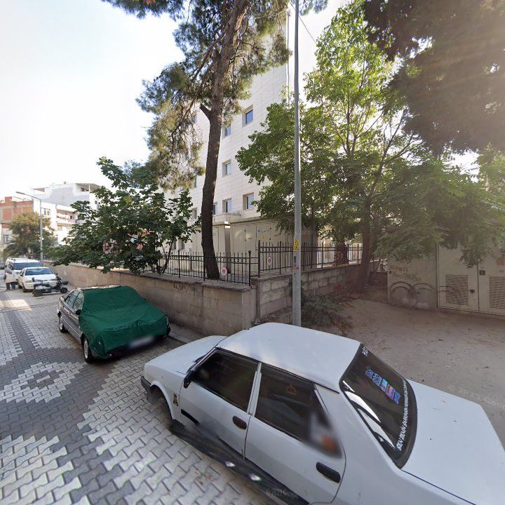 Fotoğraf 7