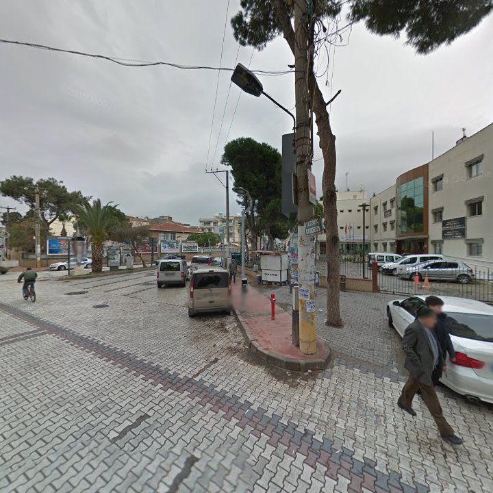 Fotoğraf 7