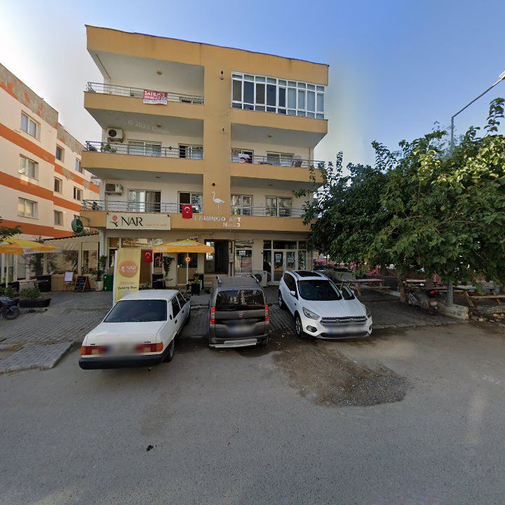 Fotoğraf 8