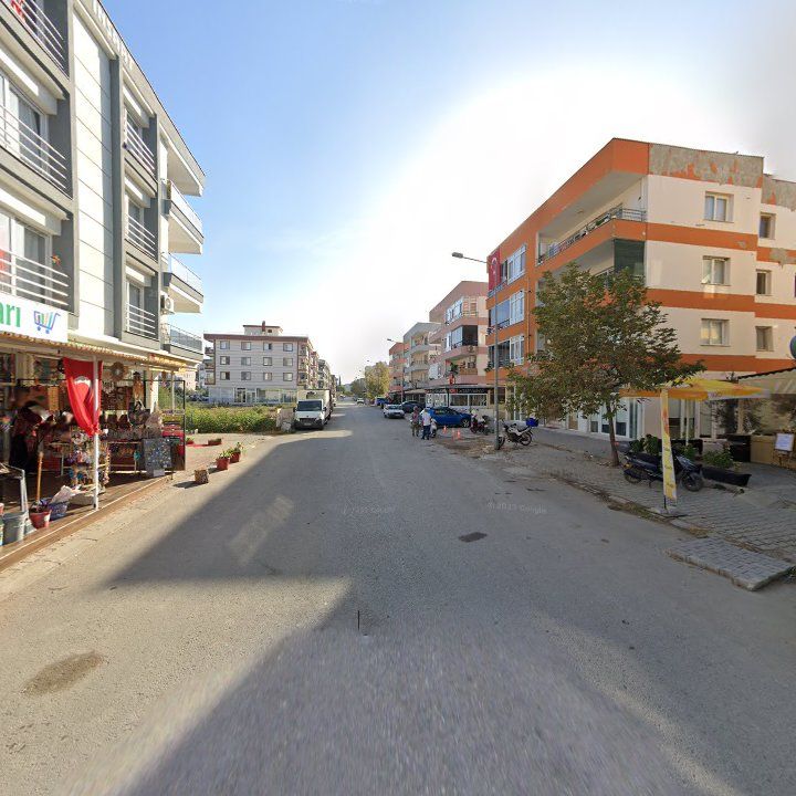 Fotoğraf 11