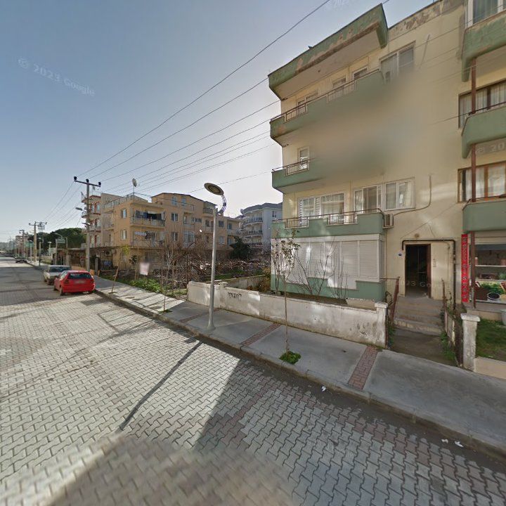 Fotoğraf 9