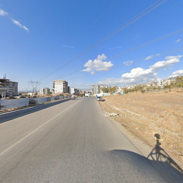 Fotoğraf 11