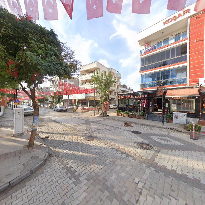 Fotoğraf 10