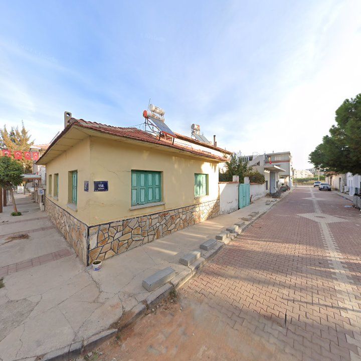 Fotoğraf 8