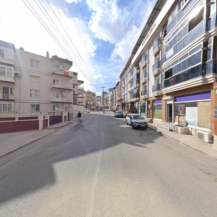 Fotoğraf 5