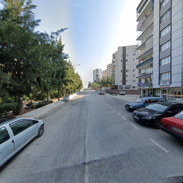Fotoğraf 12