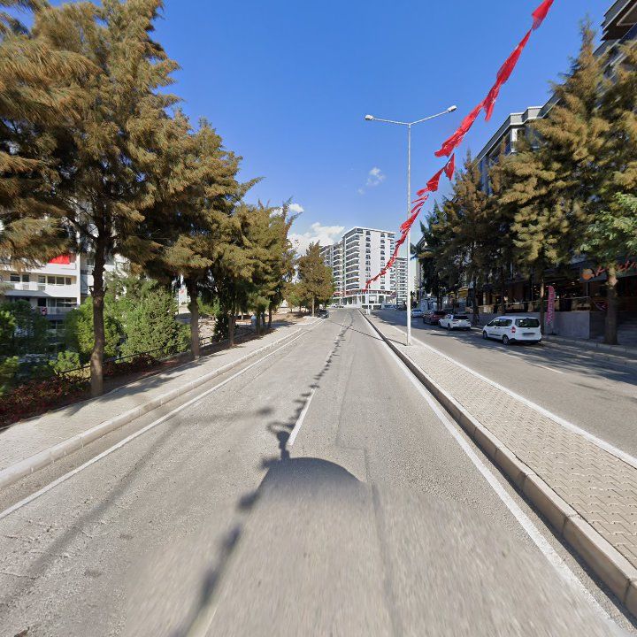 Fotoğraf 11