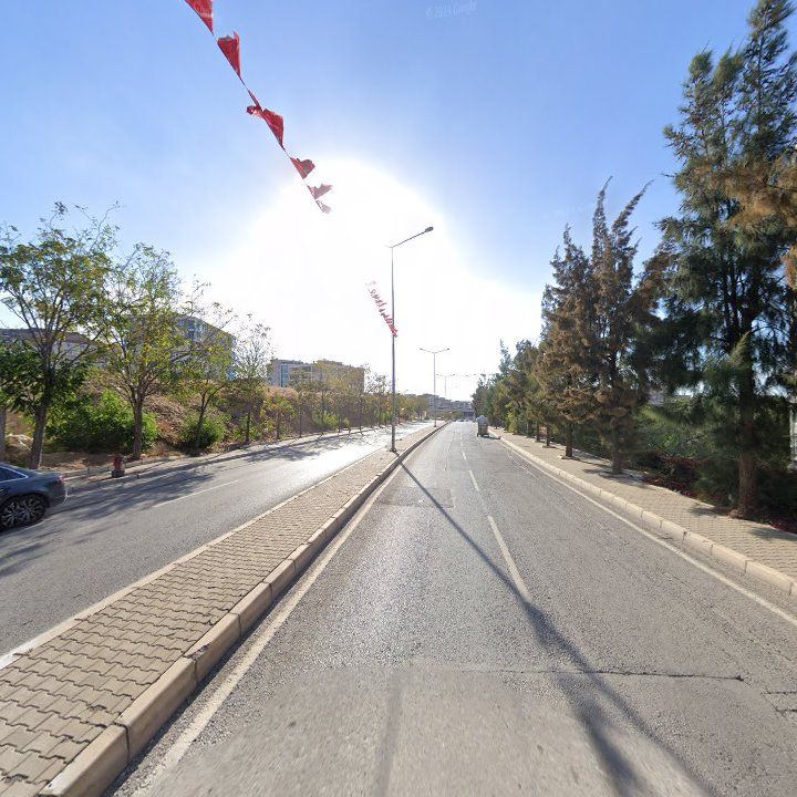 Fotoğraf 9