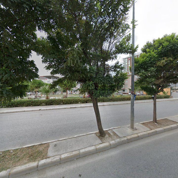 Fotoğraf 9