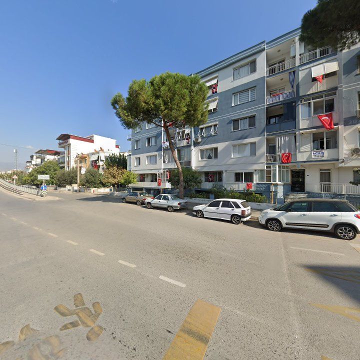 Fotoğraf 9