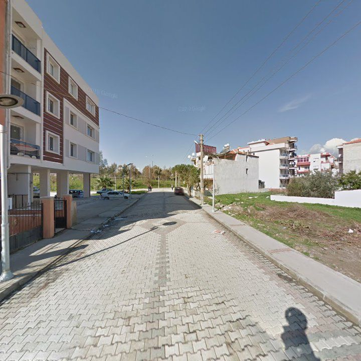 Fotoğraf 8