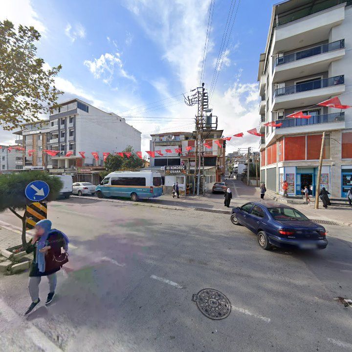 Fotoğraf 6