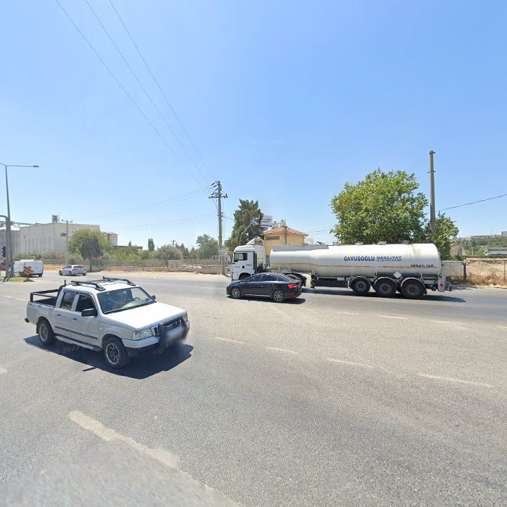Fotoğraf 7