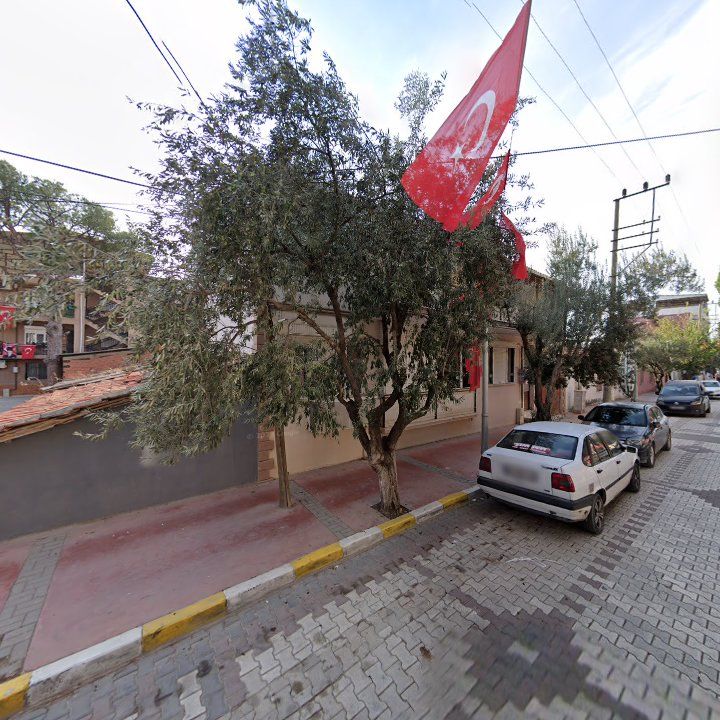 Fotoğraf 8