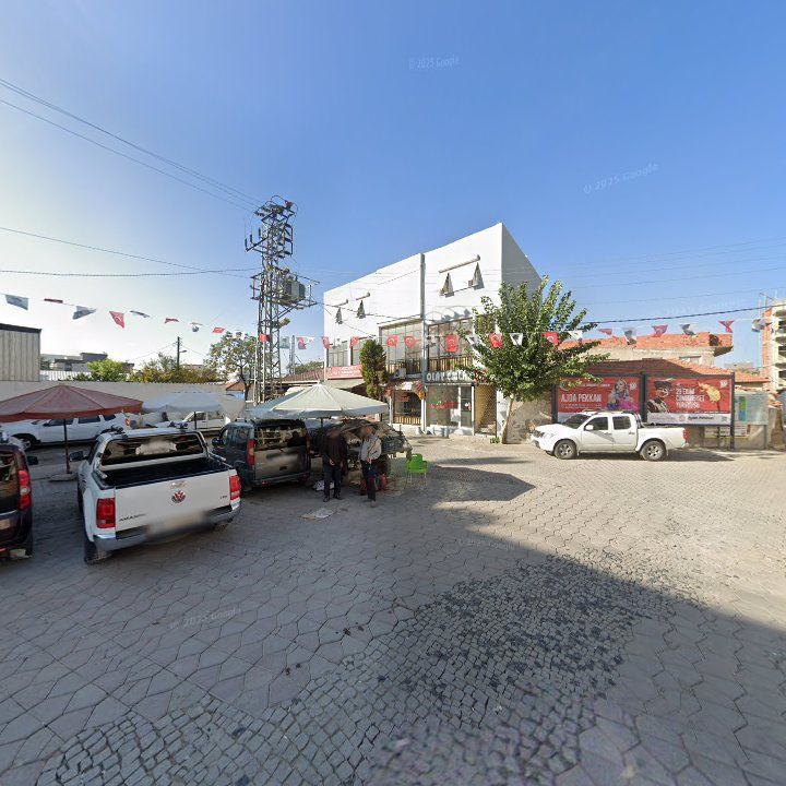 Fotoğraf 9