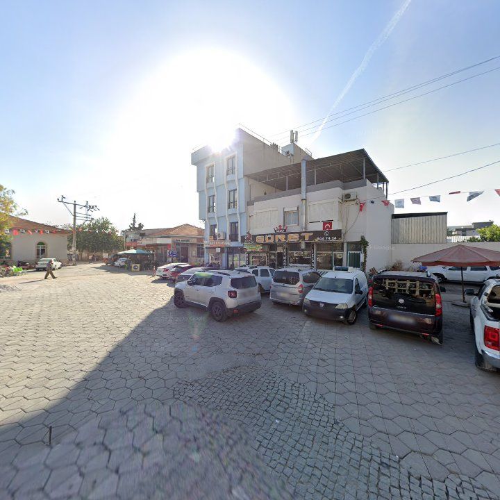 Fotoğraf 8