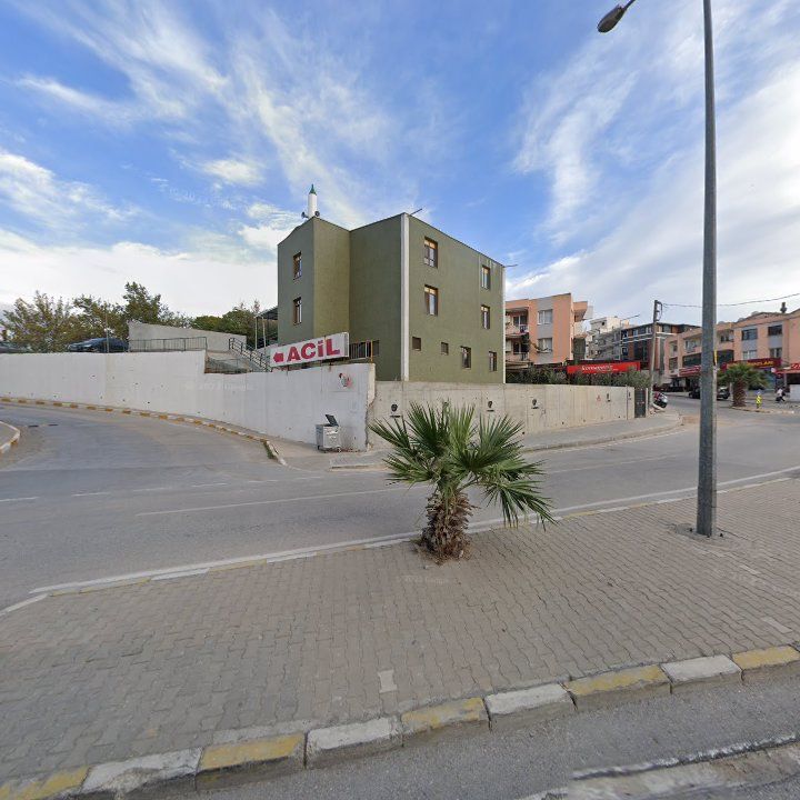 Fotoğraf 6