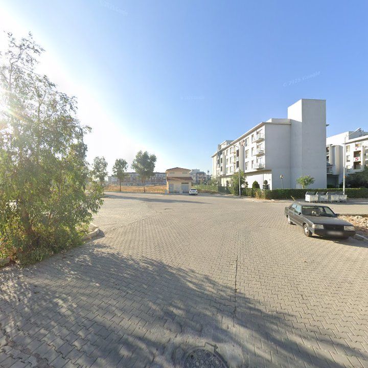 Fotoğraf 14