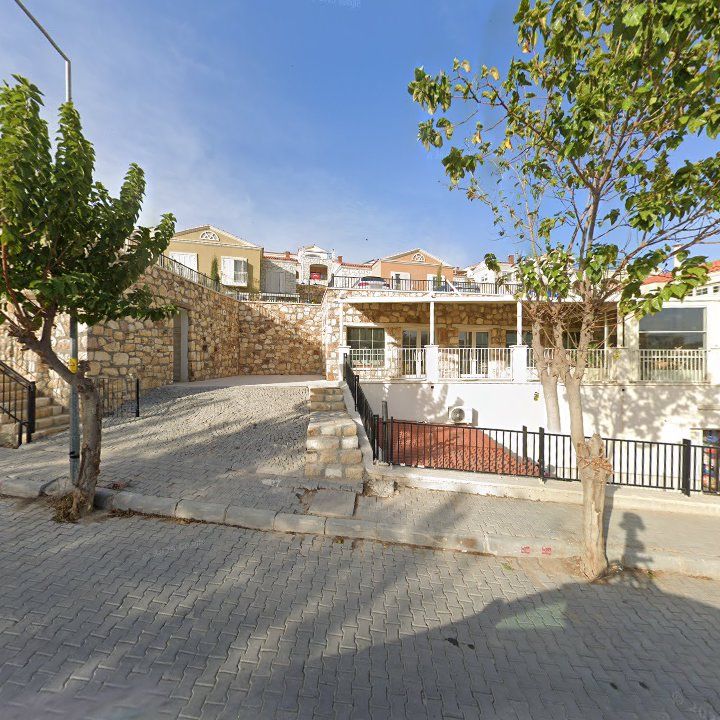 Fotoğraf 8