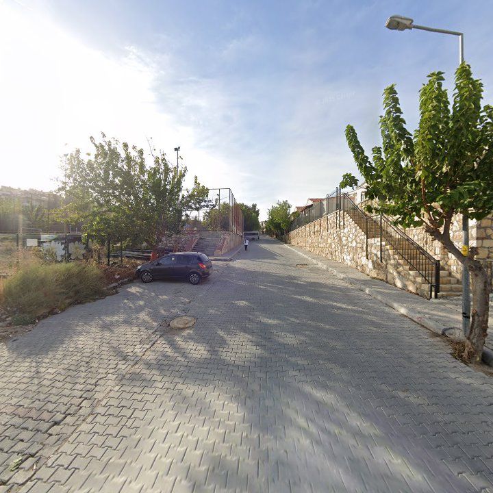 Fotoğraf 11
