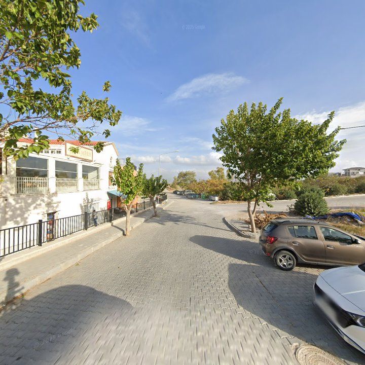 Fotoğraf 9