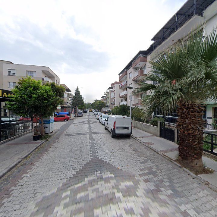 Fotoğraf 7