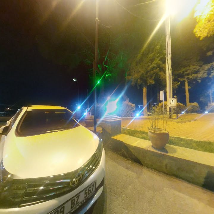 Fotoğraf 8