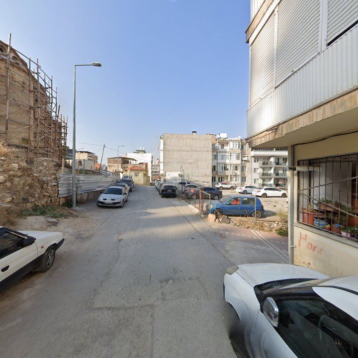 Fotoğraf 7