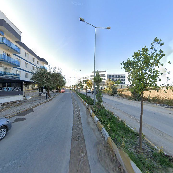 Fotoğraf 7