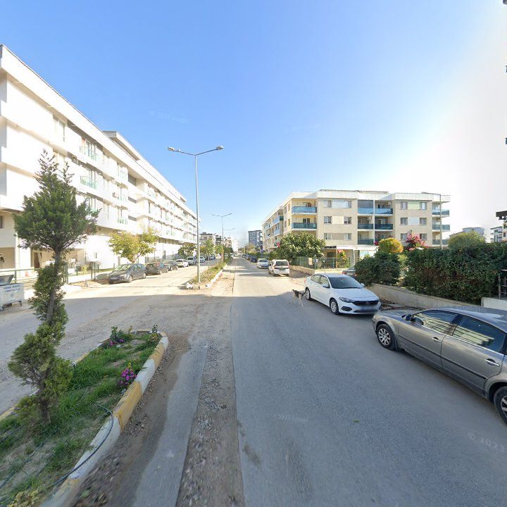 Fotoğraf 9