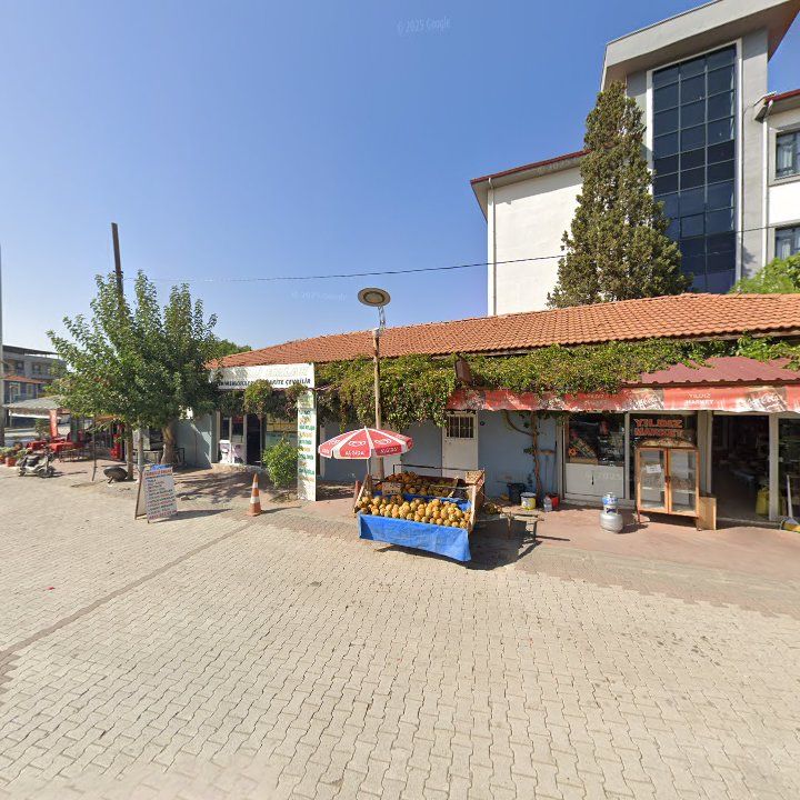 Fotoğraf 3