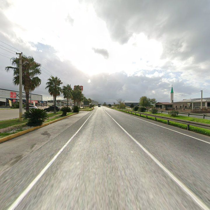 Fotoğraf 9
