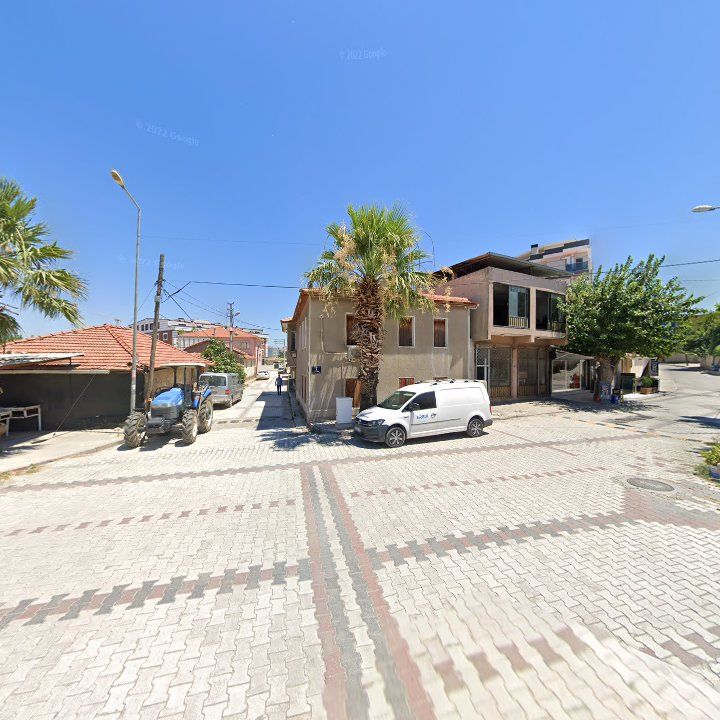 Fotoğraf 9