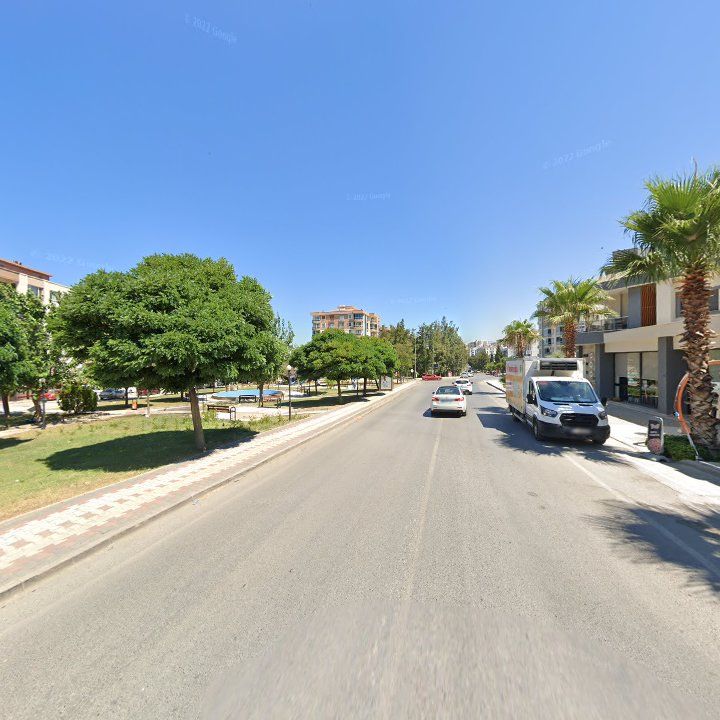 Fotoğraf 9