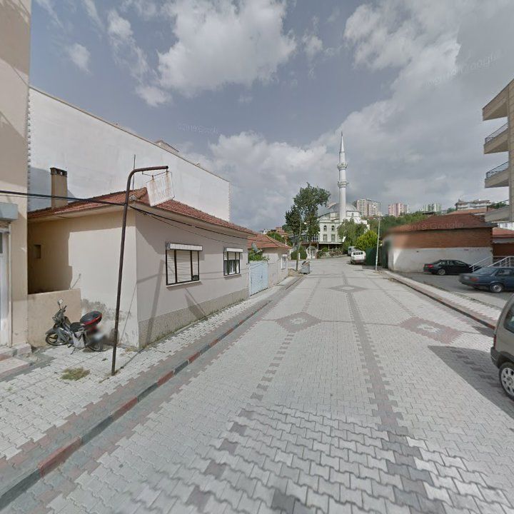 Fotoğraf 11
